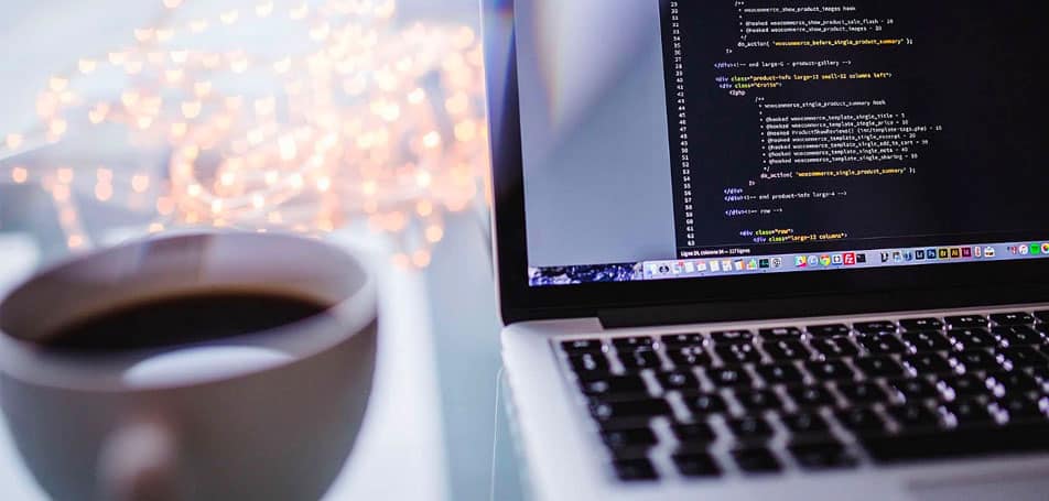 The Essential Guide to Java for Beginners