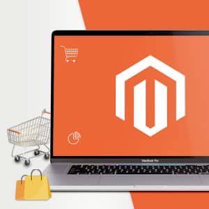 Magento-2-4-6-Whats-New-in-this-Version-300X300