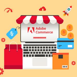 Adobe-Commerce-2-4-6-Upgrade-300X300