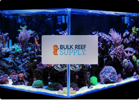 Bulk Reef Supply Case Study