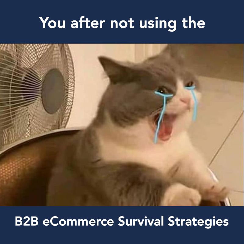 meme: You after not using the B2B eCommerce Survival Strategies