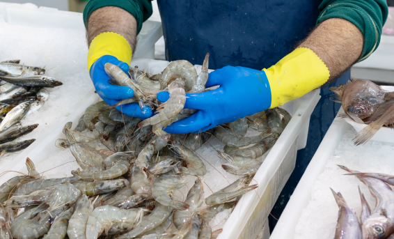 fishing marine retailers